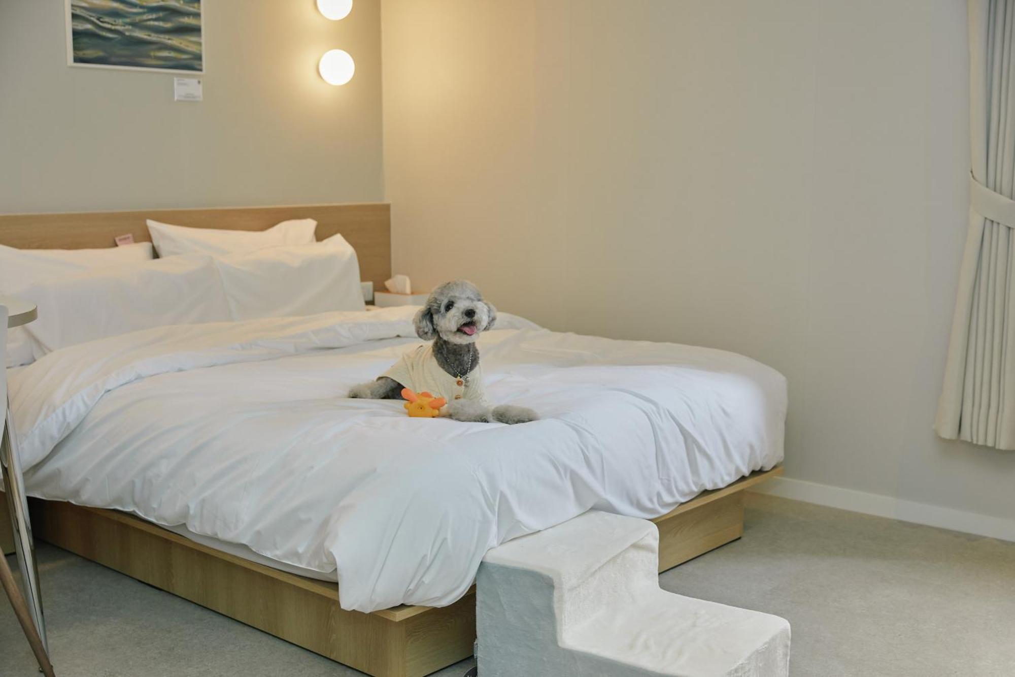 Aank Hotel Incheon Songdo Εξωτερικό φωτογραφία